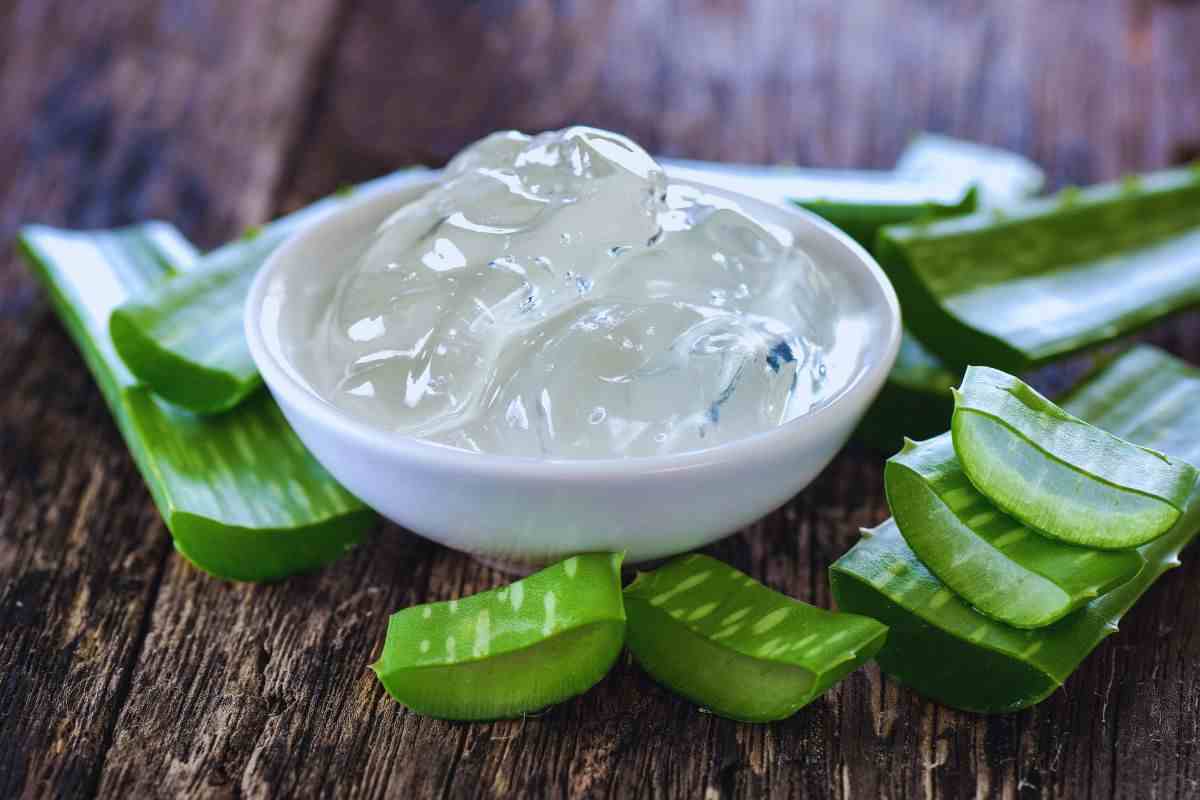 come si ottiene il gel di aloe vera