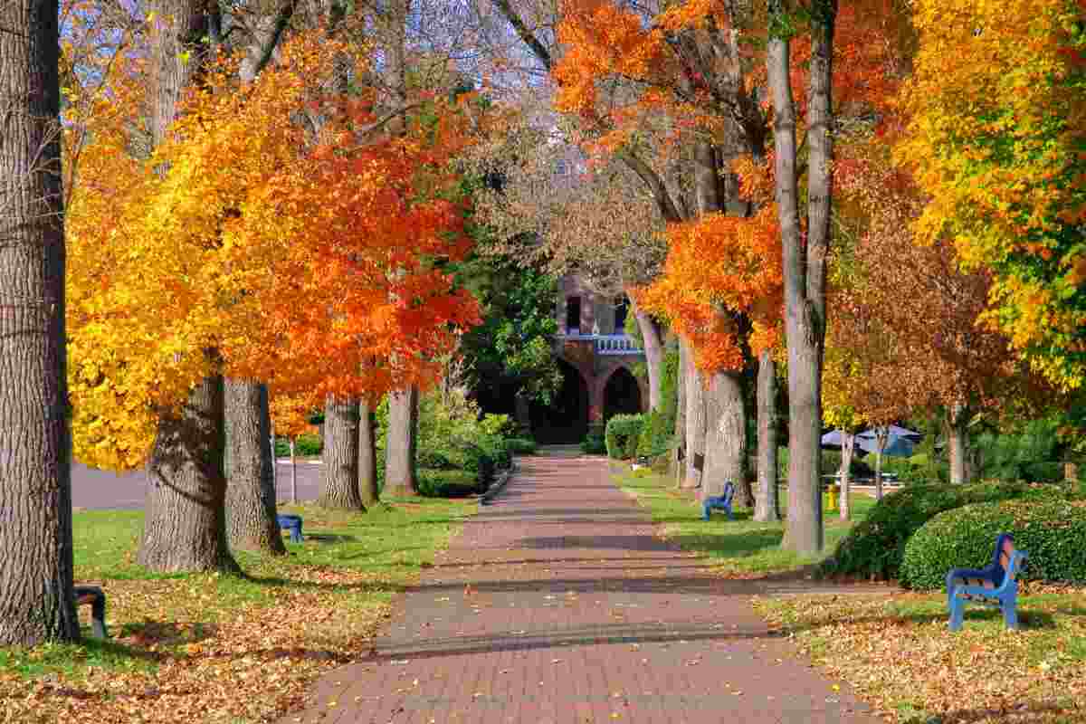 dove vedere foliage in italia